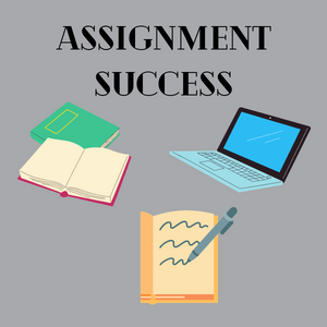 Assignment Success